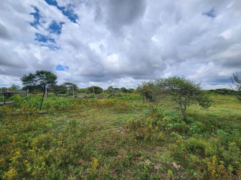 An expansive, undeveloped plot of land featuring natural vegetation, scattered trees, and basic wire perimeter fencing.