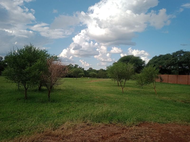 A spacious, well-maintained residential plot featuring established trees, a lush green lawn, and a brick boundary wall.