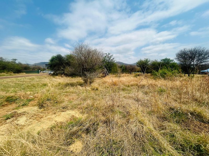 A view of a vacant residential plot featuring natural grassland and scattered native trees under a clear sky.
