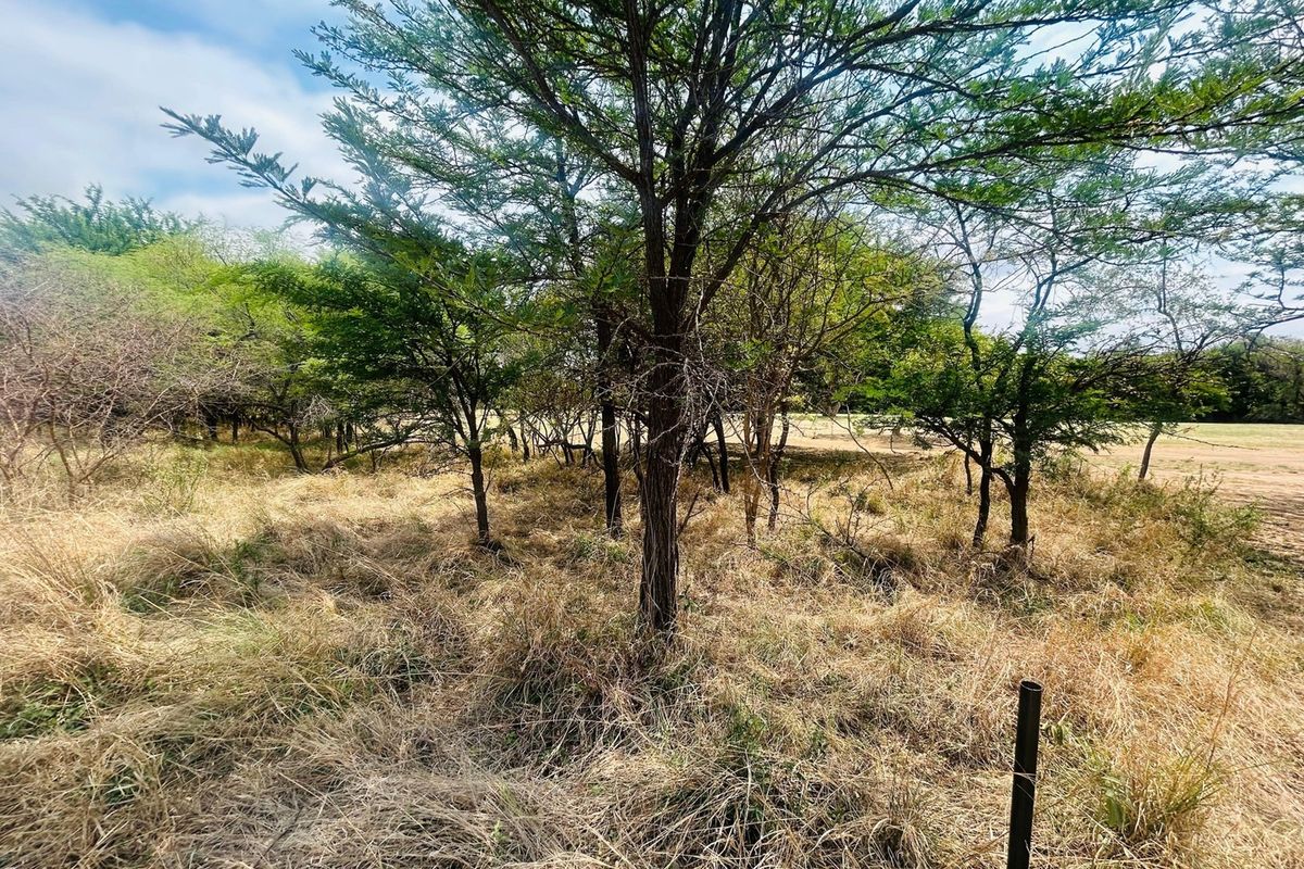 A view of a vacant residential plot featuring mature trees and natural dry grass coverage.