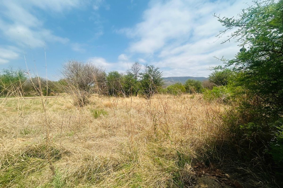 A view of a vacant residential plot featuring natural grassland and scattered indigenous trees under a clear sky.