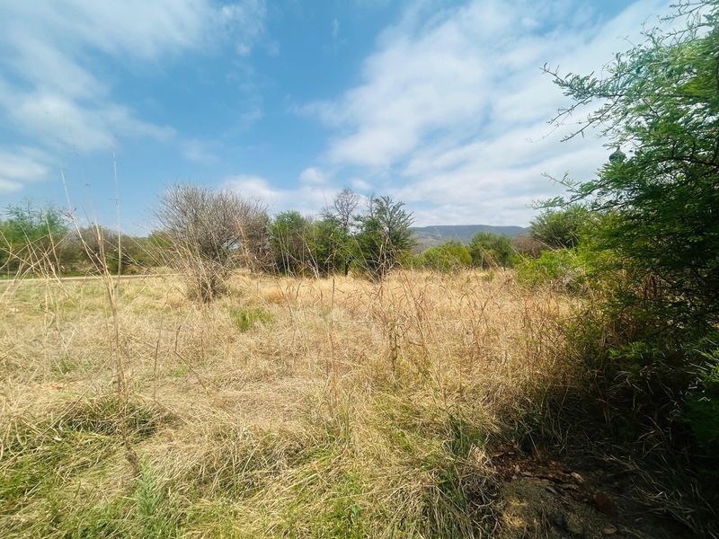 A view of a vacant residential plot featuring natural grassland and scattered indigenous trees under a clear sky.