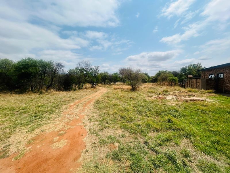 A view of the vacant residential land featuring a dirt track, natural vegetation, and a partial brick boundary wall.