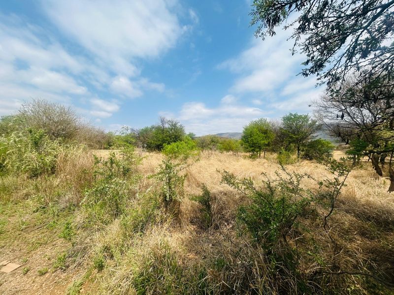 A view of the vacant residential land featuring natural vegetation and indigenous trees under a clear blue sky.