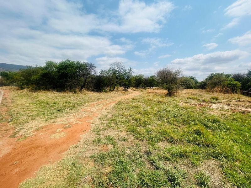A view of a vacant residential plot featuring natural grass, indigenous trees, and an existing dirt track.