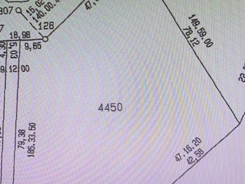 A digital display showing the cadastral survey map and boundary dimensions for residential plot 4450.