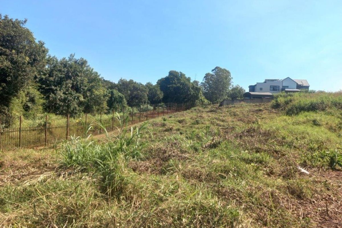 A view of a sloped, undeveloped residential plot featuring natural vegetation and existing metal perimeter fencing.