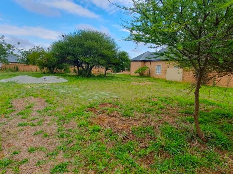 A spacious residential plot featuring established trees, a grass lawn, and perimeter walling, offering a clear area for potential development.
