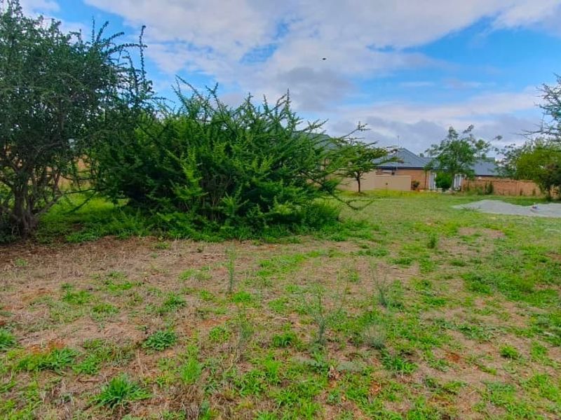 A vacant residential plot featuring established trees and a boundary wall, offering a blank canvas for future development.
