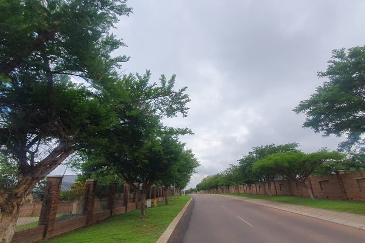 A view of the street frontage featuring a paved sidewalk, mature trees, and a long brick boundary wall.