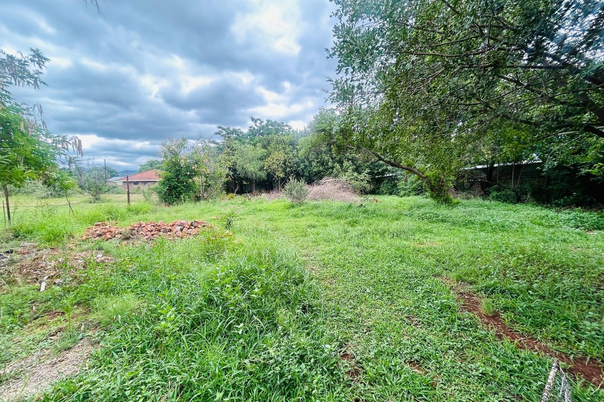 A large, overgrown garden area featuring mature trees and a grass lawn, offering significant potential for landscaping and outdoor development.