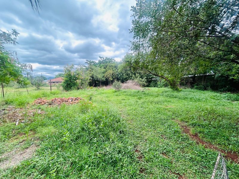 A large, overgrown garden area featuring mature trees and a grass lawn, offering significant potential for landscaping and outdoor development.