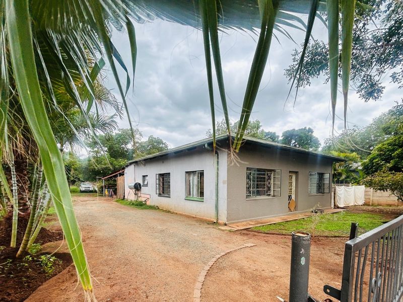 A single-story residential house featuring a metal roof, security bars on windows, and an unpaved driveway, set within a garden area.