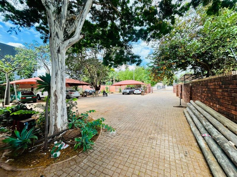 Spacious paved driveway area featuring multiple shade cloth carports, mature trees, and a brick boundary wall.