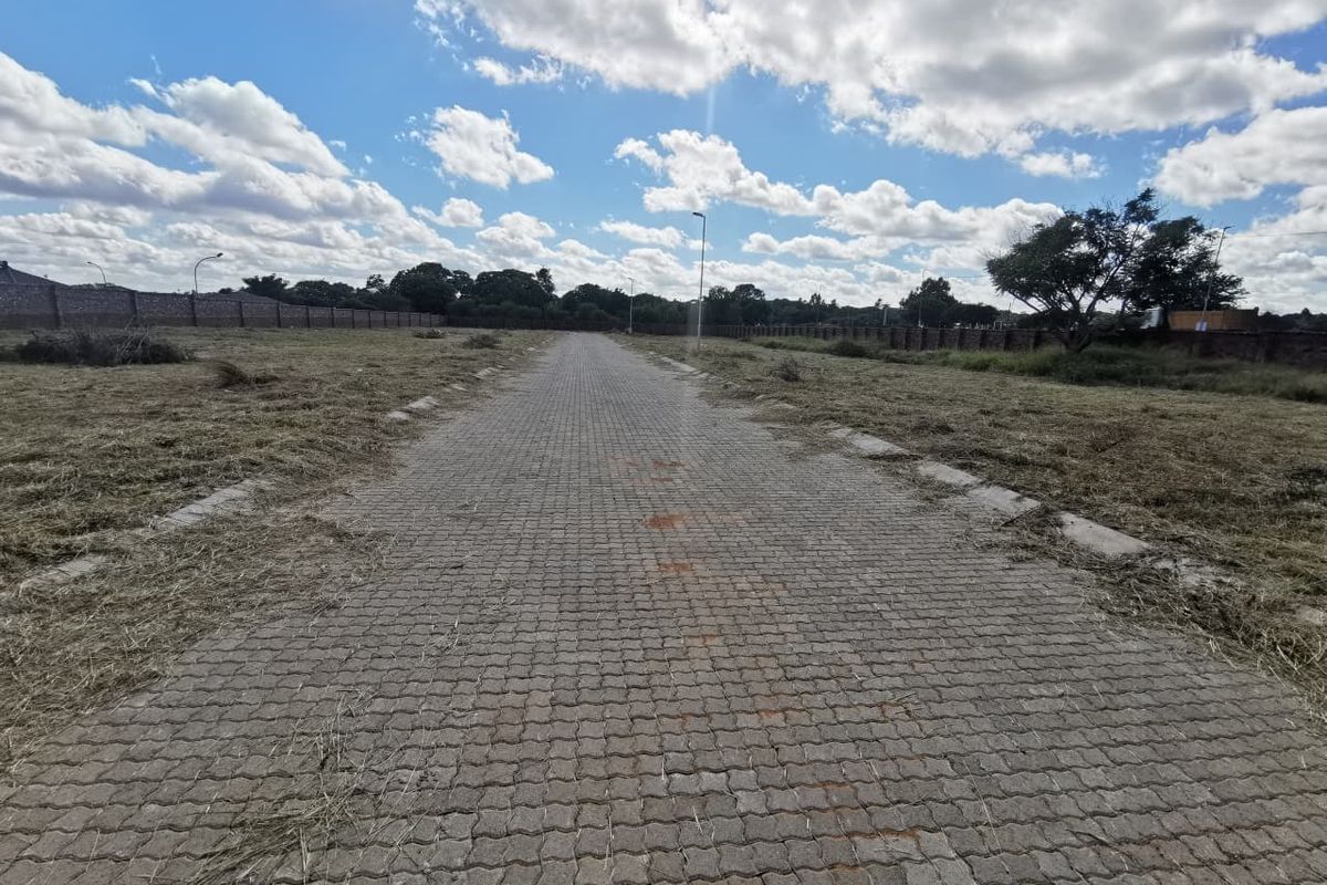 A view of a paved access road leading through a vacant residential plot, bordered by perimeter walls and open land.
