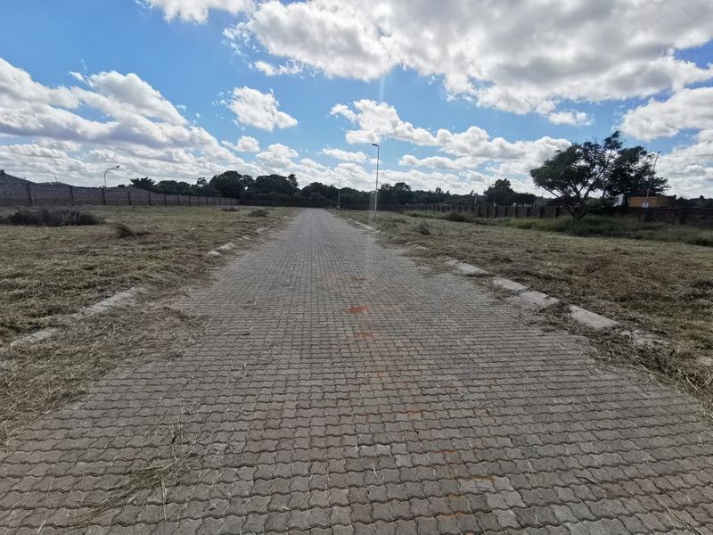 A view of a paved access road leading through a vacant residential plot, bordered by perimeter walls and open land.