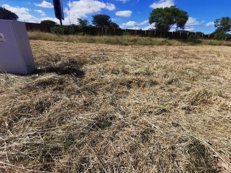 A vacant residential plot featuring dry grass, a perimeter brick wall, and an existing electrical utility box on site.