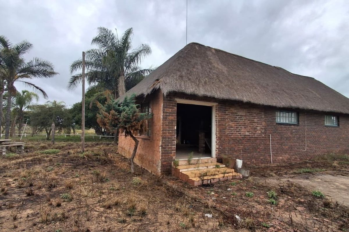 Exterior view of a face brick building with a thatched roof, featuring tiled entrance steps and steel frame windows, set on a large plot.