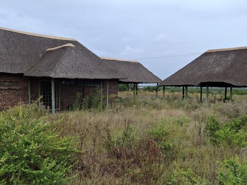 8.5HA SMALLHOLDING WITH ENDLESS POTENTIAL – INVEST, DEVELOP OR RESTORE! - Photo 8