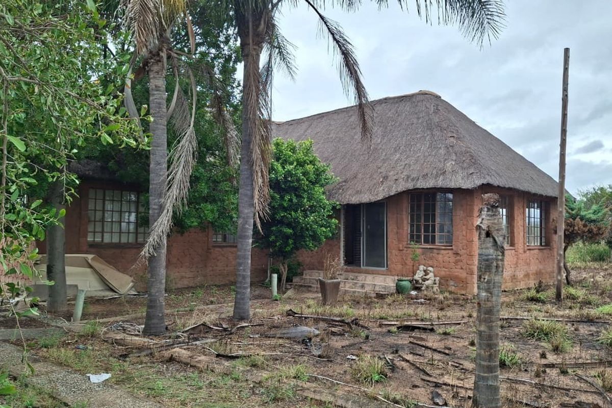 Rear view of a rustic small holding property featuring a traditional thatch roof, brick construction, and large grid-pane windows set in an overgrown garden.