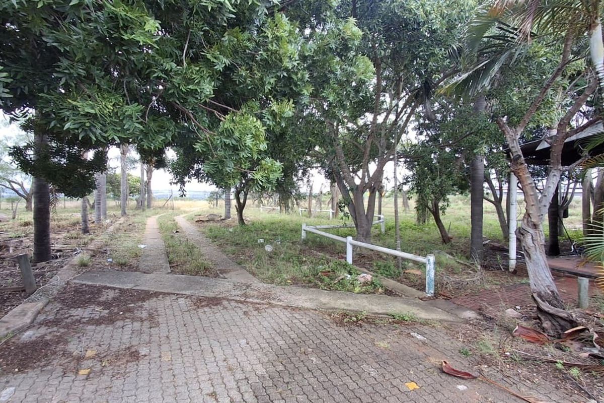 A large, overgrown garden area featuring a paved driveway, mature trees, and perimeter fencing, offering significant potential for landscaping and outdoor development.
