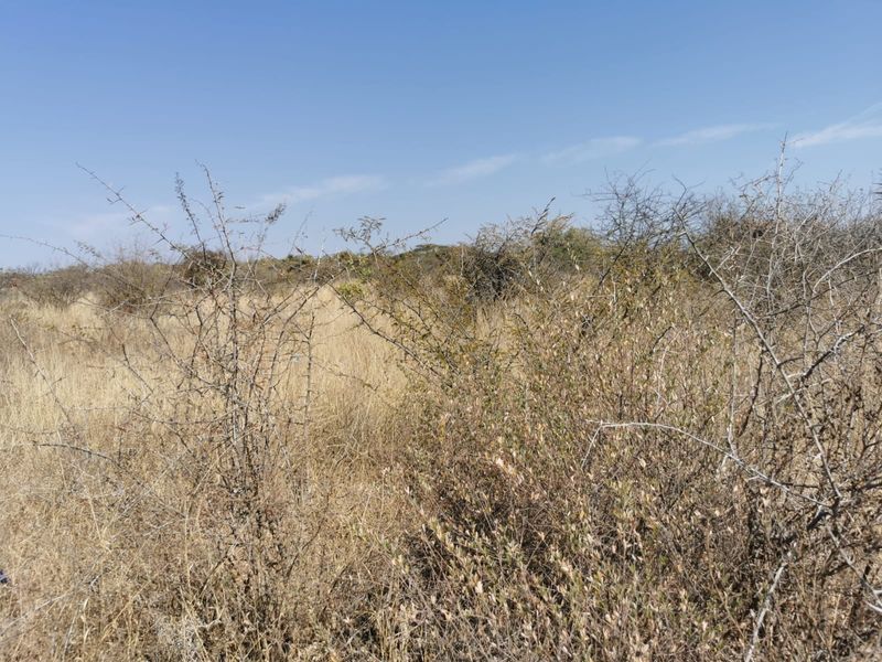 A view of the vacant residential land featuring natural dry grassland and native shrubbery under a clear blue sky.