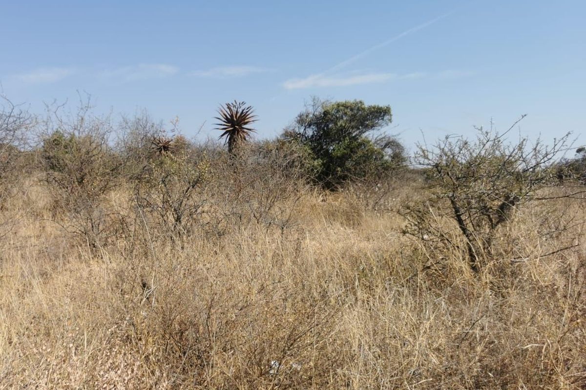A view of the vacant residential land featuring natural indigenous vegetation and dry grass landscape.