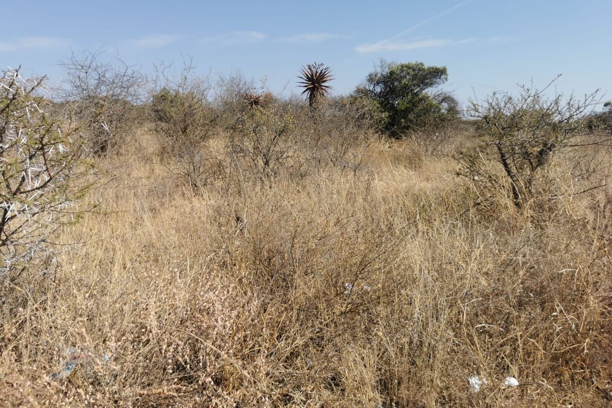 A view of the undeveloped residential land featuring natural dry grass and indigenous shrubs.