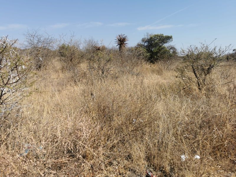 A view of the undeveloped residential land featuring natural dry grass and indigenous shrubs.