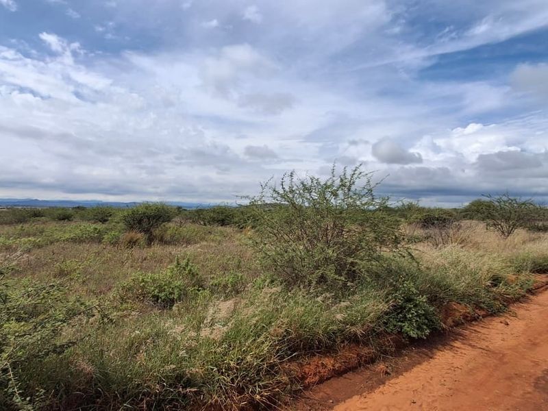 A view of a vacant residential plot featuring natural vegetation and an adjacent dirt road under a cloudy sky.