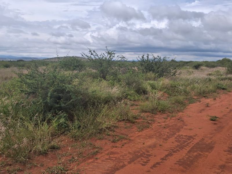 A view of an unpaved dirt road leading through a natural, undeveloped residential land plot with native vegetation and distant hills.