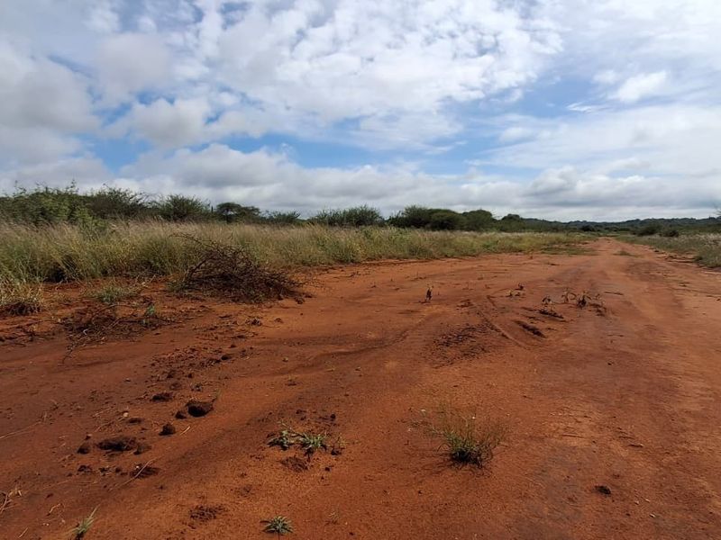 A view of the vacant residential land featuring an unpaved access road and natural vegetation under a cloudy sky.
