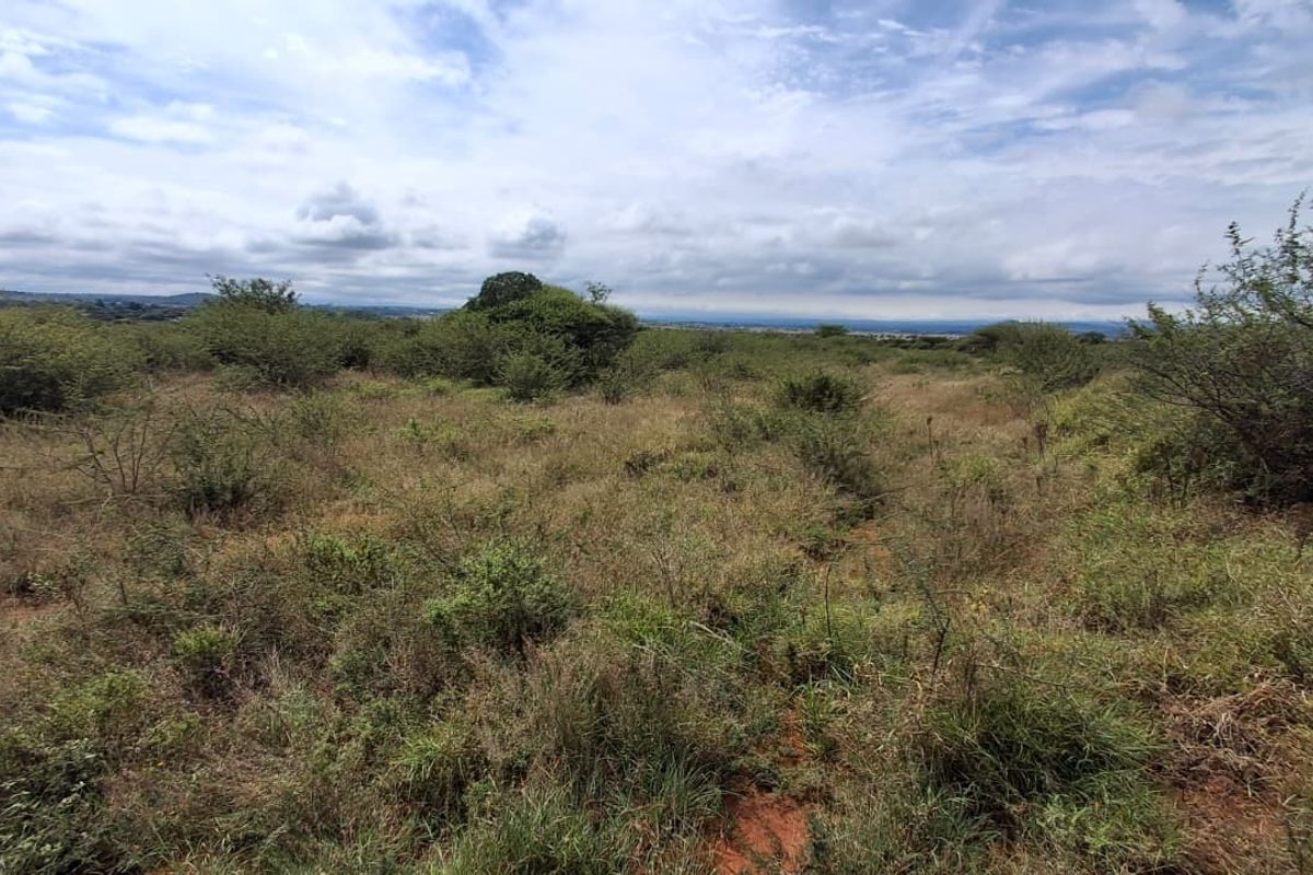 A wide-angle view of the vacant residential land featuring natural vegetation and open landscape under a cloudy sky.