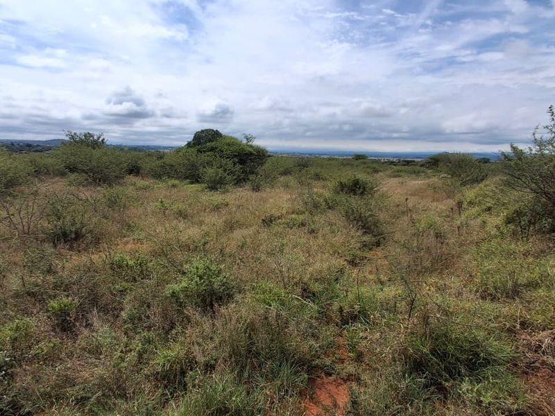 A wide-angle view of the vacant residential land featuring natural vegetation and open landscape under a cloudy sky.