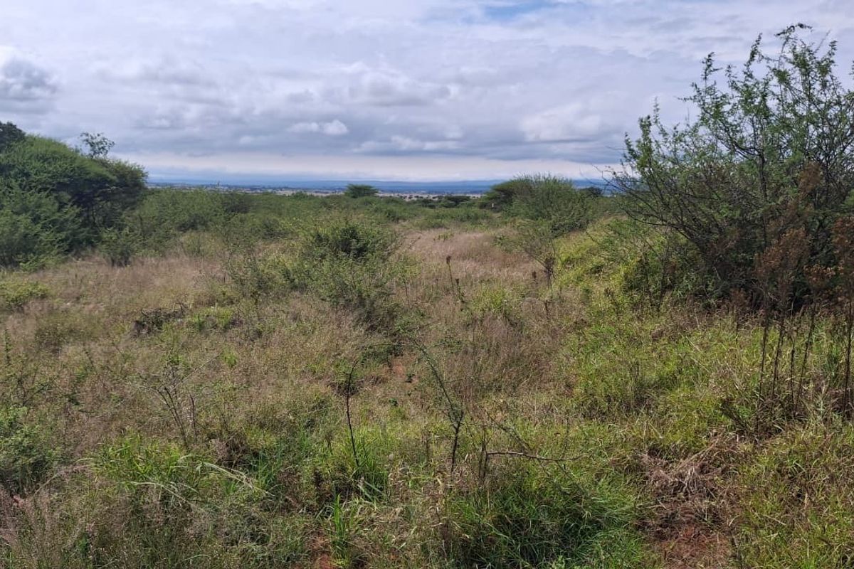 A view of the vacant residential land featuring natural vegetation and open landscape under a cloudy sky.