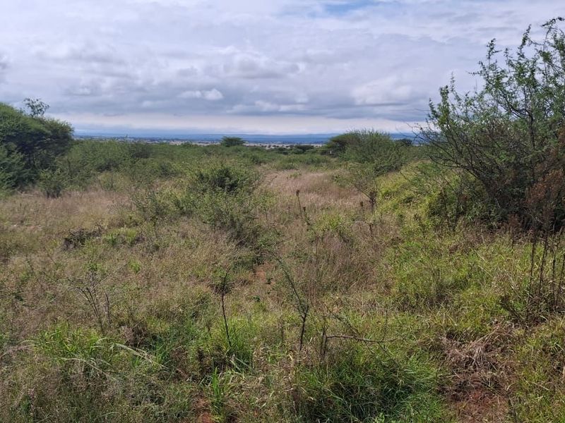 A view of the vacant residential land featuring natural vegetation and open landscape under a cloudy sky.