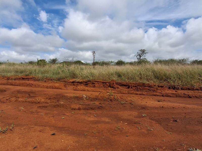A view of an undeveloped residential plot featuring natural vegetation and dirt road access.