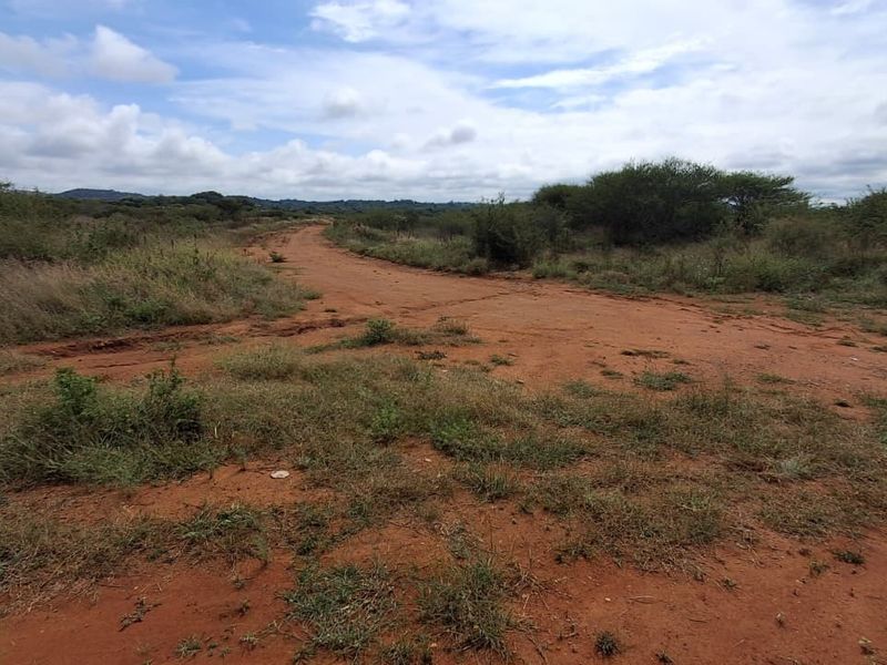 A view of the vacant residential land featuring an unpaved access road and natural vegetation under a cloudy sky.