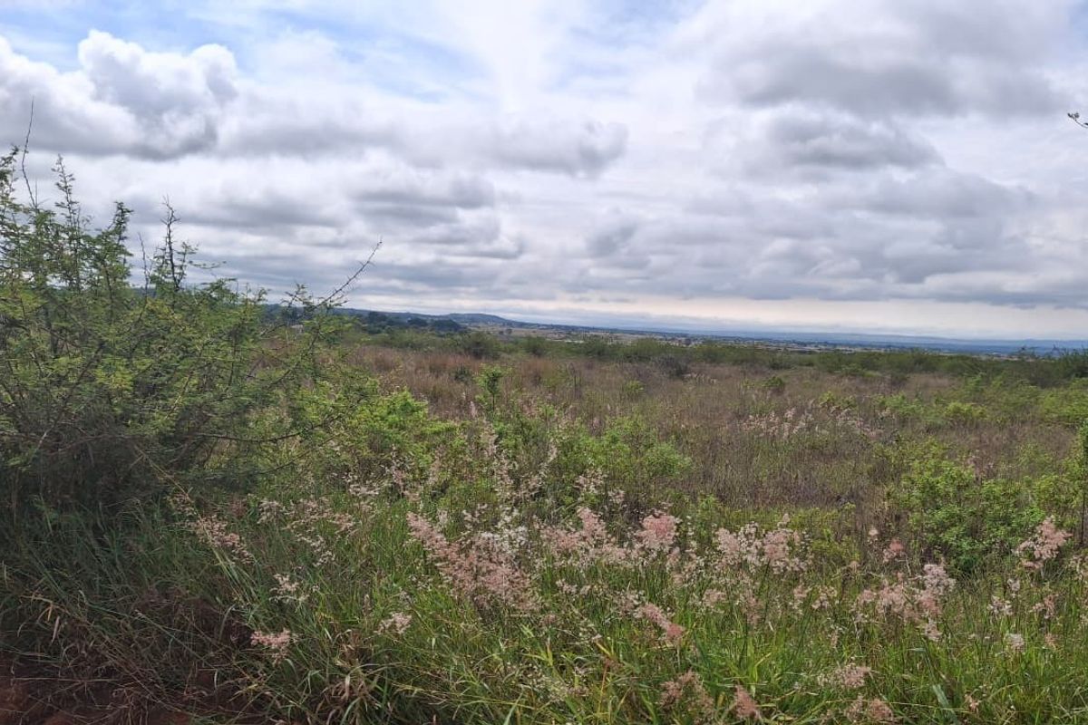 A wide-angle view of the vacant residential land, showcasing the natural landscape and surrounding terrain.