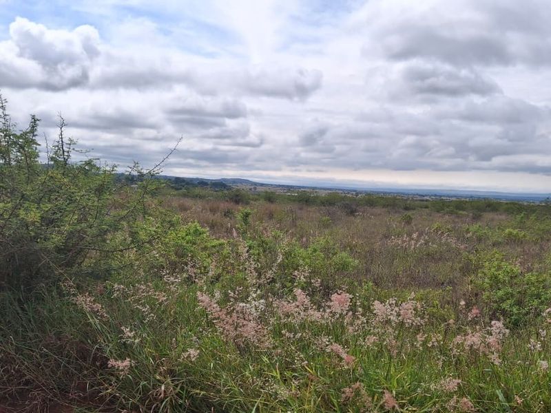 A wide-angle view of the vacant residential land, showcasing the natural landscape and surrounding terrain.