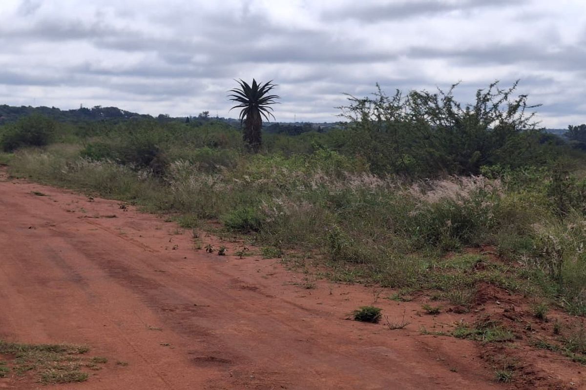 A view of an unpaved access road leading to the vacant residential land, surrounded by natural vegetation and open landscape.