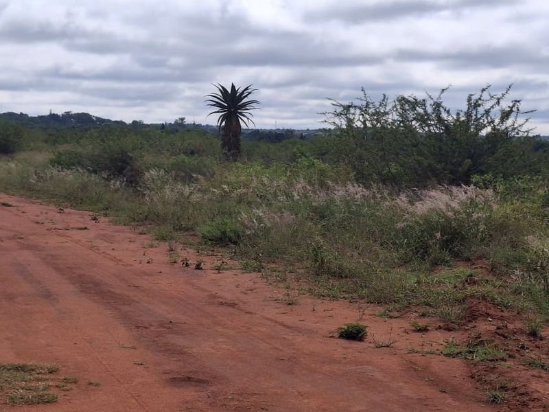 A view of an unpaved access road leading to the vacant residential land, surrounded by natural vegetation and open landscape.