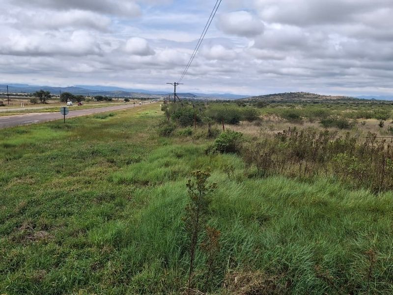 A view of the vacant land parcel adjacent to a paved road, featuring natural vegetation and overhead power lines.