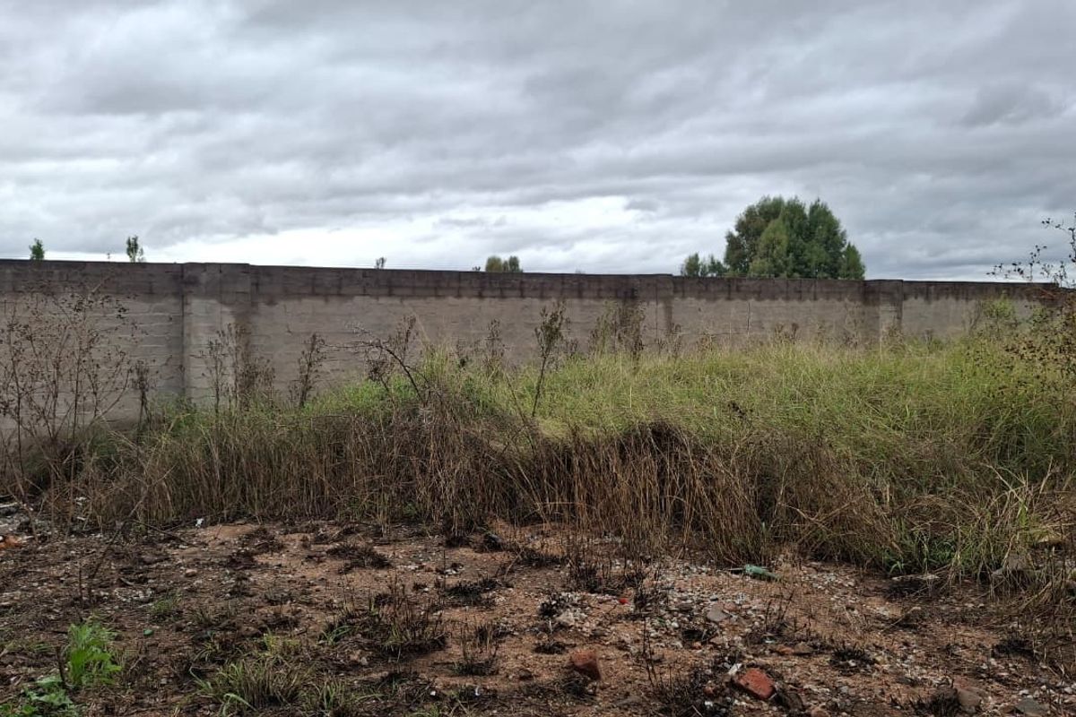 A vacant residential plot featuring an existing perimeter boundary wall and overgrown natural vegetation.