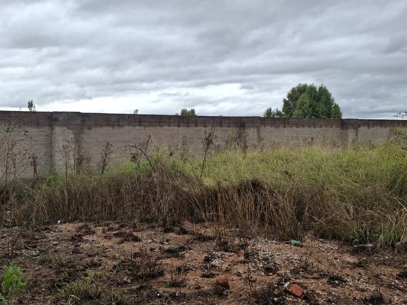 A vacant residential plot featuring an existing perimeter boundary wall and overgrown natural vegetation.