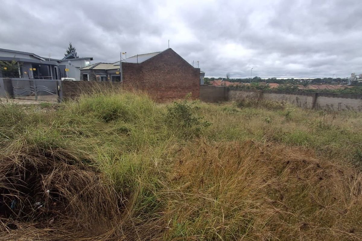A vacant residential plot featuring overgrown grass and existing boundary walls, offering a blank canvas for future development.