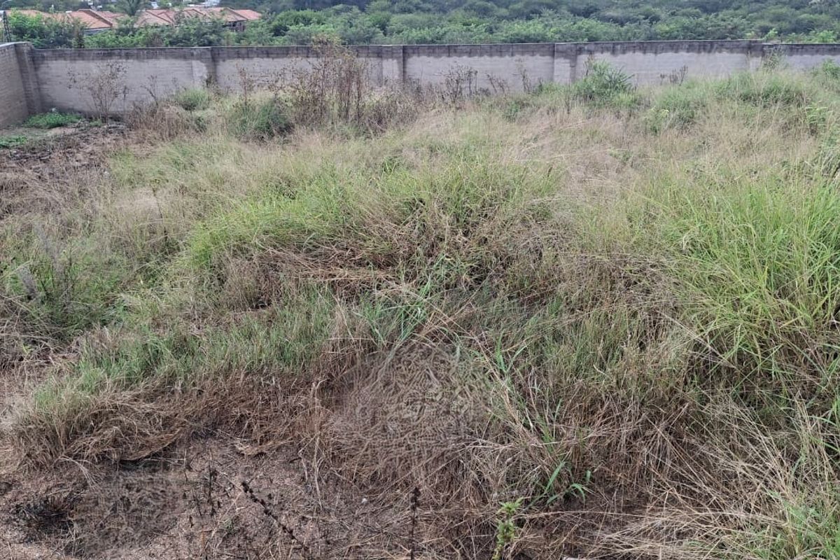 A vacant residential plot featuring overgrown grass and a perimeter boundary wall, offering a blank canvas for future development.