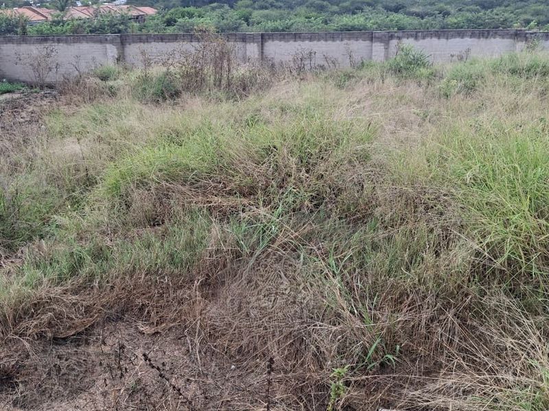 A vacant residential plot featuring overgrown grass and a perimeter boundary wall, offering a blank canvas for future development.