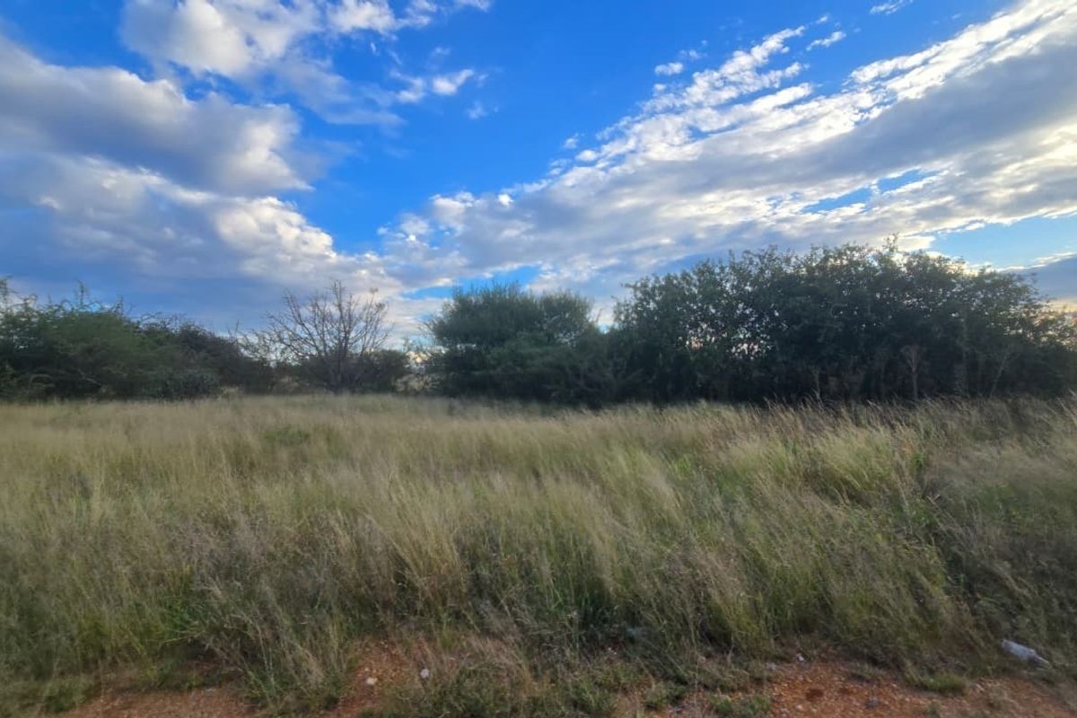 A view of an undeveloped residential plot featuring natural grass and established shrubbery under a clear blue sky.
