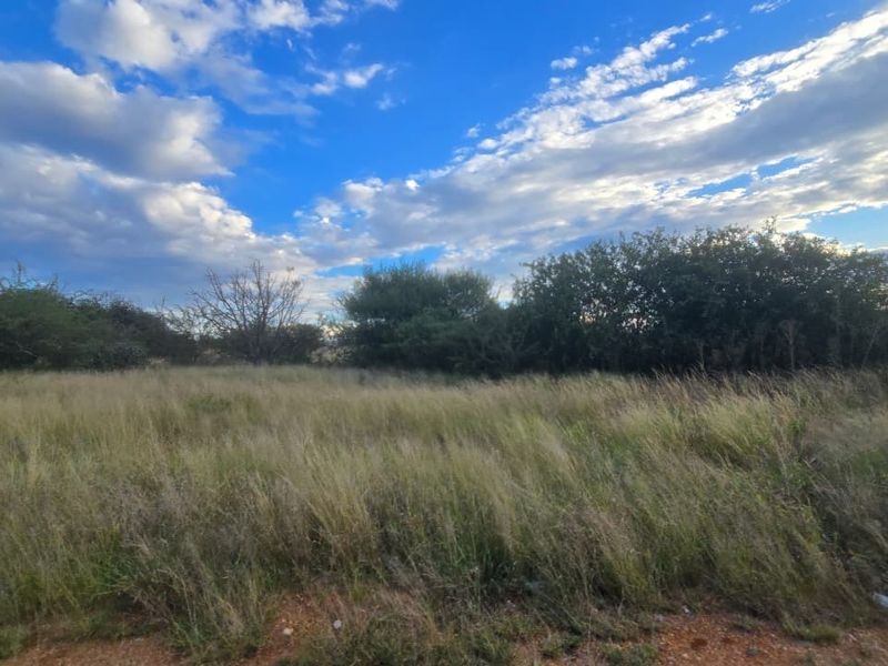 A view of an undeveloped residential plot featuring natural grass and established shrubbery under a clear blue sky.